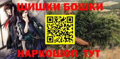 молекула духа Будённовск