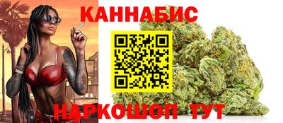 молекула духа Будённовск