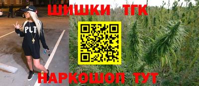 молекула духа Будённовск