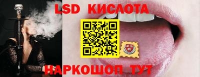 молекула духа Будённовск