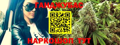 молекула духа Будённовск