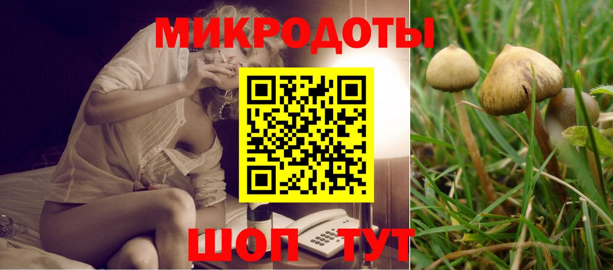 Псилоцибиновые грибы Cubensis Россошь